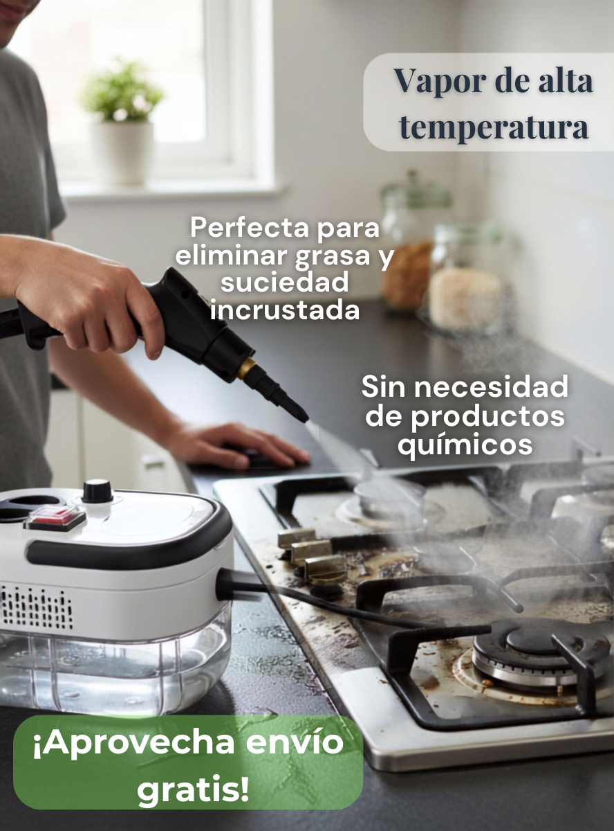 Limpiador A Vapor Presion 2500w Portatil